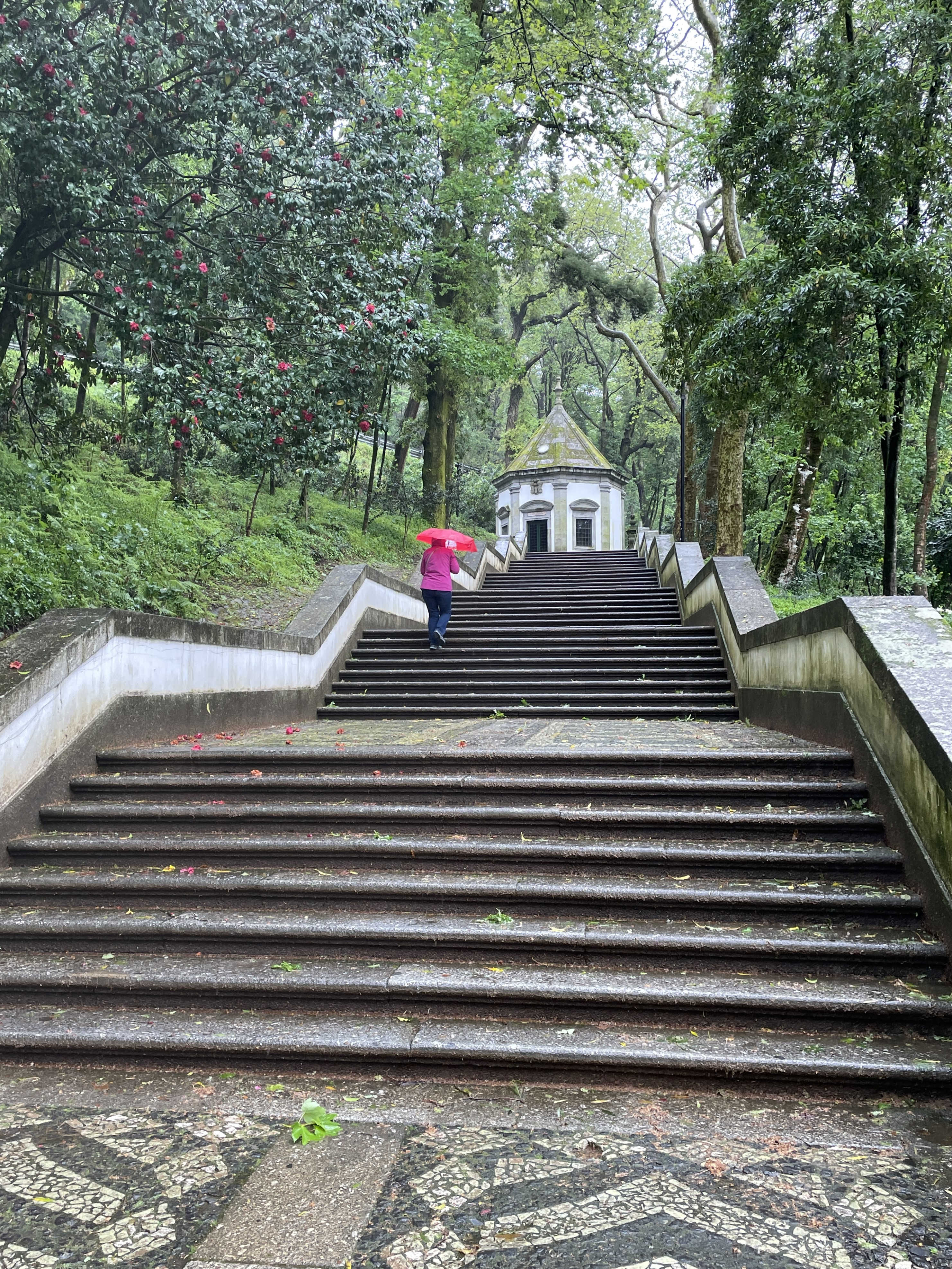 Braga